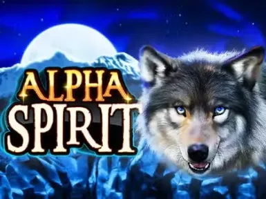 Spinfin Casino screenshot
